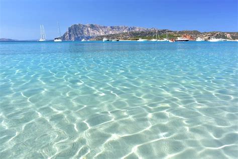 spiagge di cavallo.